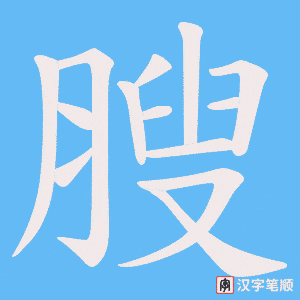 《膄》的笔顺动画写字动画演示