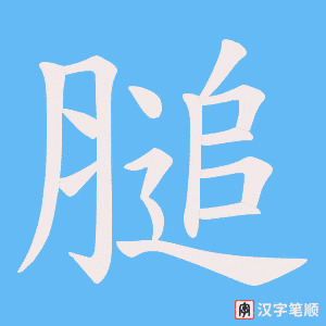 《膇》的笔顺动画写字动画演示