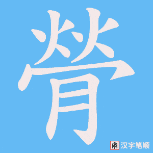 《膋》的笔顺动画写字动画演示