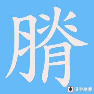 《膌》的笔顺动画写字动画演示