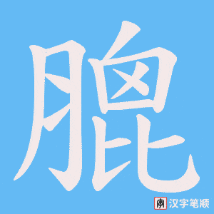 《膍》的笔顺动画写字动画演示