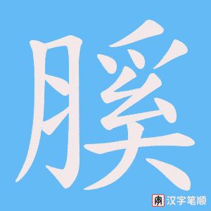 《膎》的笔顺动画写字动画演示