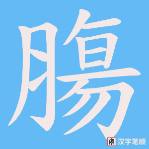 《膓》的笔顺动画写字动画演示