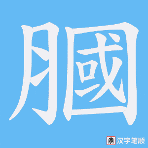 《膕》的笔顺动画写字动画演示