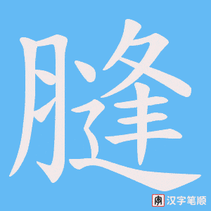 《膖》的笔顺动画写字动画演示