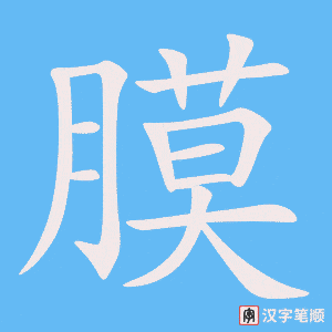 《膜》的笔顺动画写字动画演示