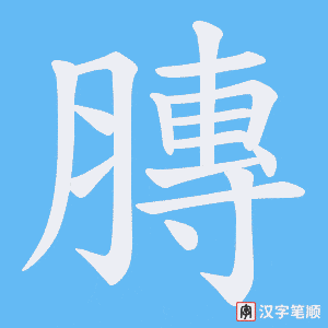 《膞》的笔顺动画写字动画演示