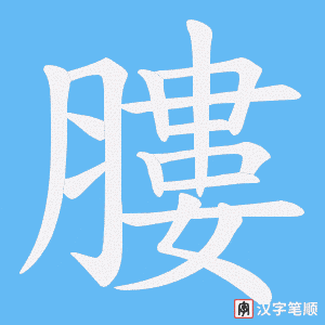 《膢》的笔顺动画写字动画演示