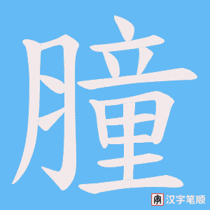 《膧》的笔顺动画写字动画演示