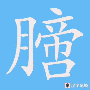 《膪》的笔顺动画写字动画演示