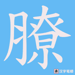 《膫》的笔顺动画写字动画演示