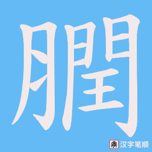 《膶》的笔顺动画写字动画演示