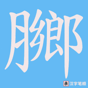 《膷》的笔顺动画写字动画演示