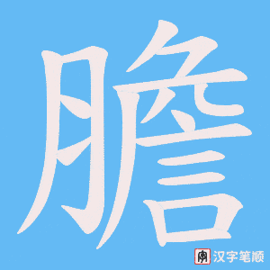 《膽》的笔顺动画写字动画演示