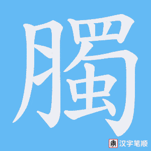 《臅》的笔顺动画写字动画演示