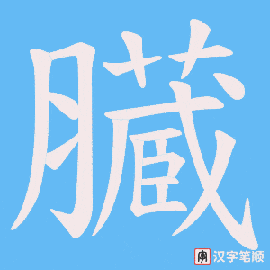 《臓》的笔顺动画写字动画演示