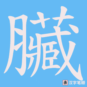 《臟》的笔顺动画写字动画演示