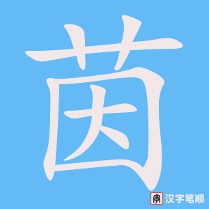 《茵》的笔顺动画写字动画演示