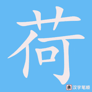 《荷》的笔顺动画写字动画演示