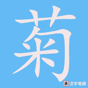 《菊》的笔顺动画写字动画演示