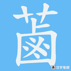 《蓾》的笔顺动画写字动画演示