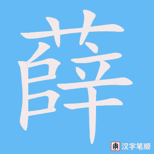 《薛》的笔顺动画写字动画演示