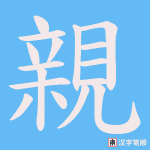 《親》的笔顺动画写字动画演示