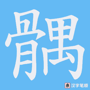 《髃》的笔顺动画写字动画演示