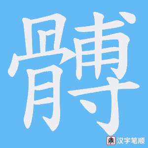 《髆》的笔顺动画写字动画演示