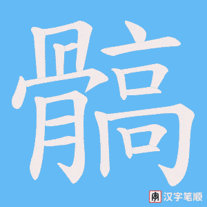 《髇》的笔顺动画写字动画演示