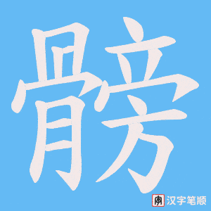 《髈》的笔顺动画写字动画演示