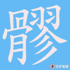 《髎》的笔顺动画写字动画演示