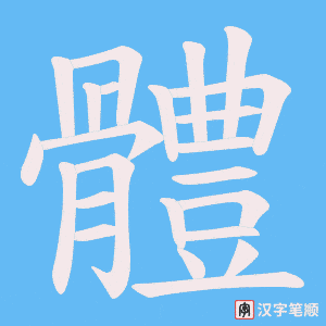 《體》的笔顺动画写字动画演示