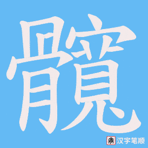 《髖》的笔顺动画写字动画演示