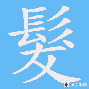 《髮》的笔顺动画写字动画演示