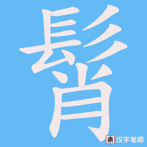 《髾》的笔顺动画写字动画演示