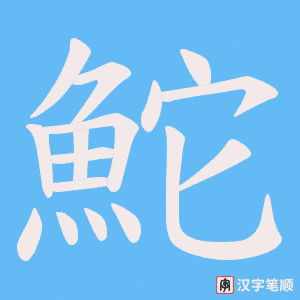 《鮀》的笔顺动画写字动画演示