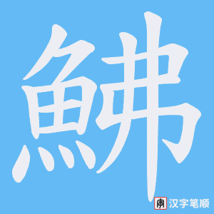 《鮄》的笔顺动画写字动画演示