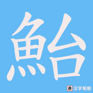 《鮐》的笔顺动画写字动画演示