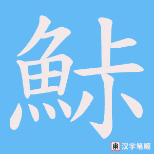 《鮛》的笔顺动画写字动画演示