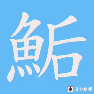《鮜》的笔顺动画写字动画演示
