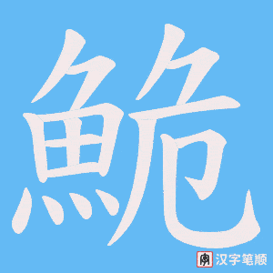 《鮠》的笔顺动画写字动画演示