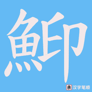 《鮣》的笔顺动画写字动画演示