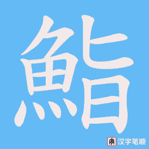 《鮨》的笔顺动画写字动画演示