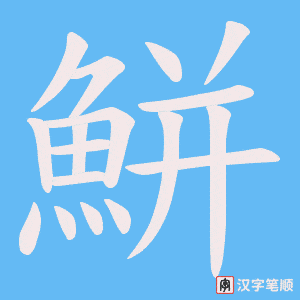 《鮩》的笔顺动画写字动画演示