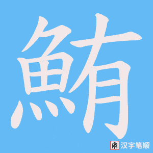 《鮪》的笔顺动画写字动画演示