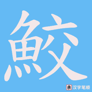 《鮫》的笔顺动画写字动画演示