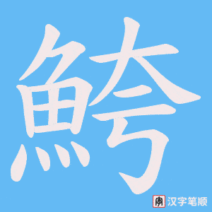 《鮬》的笔顺动画写字动画演示