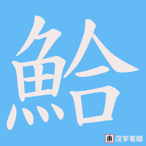 《鮯》的笔顺动画写字动画演示