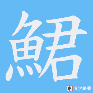 《鮶》的笔顺动画写字动画演示